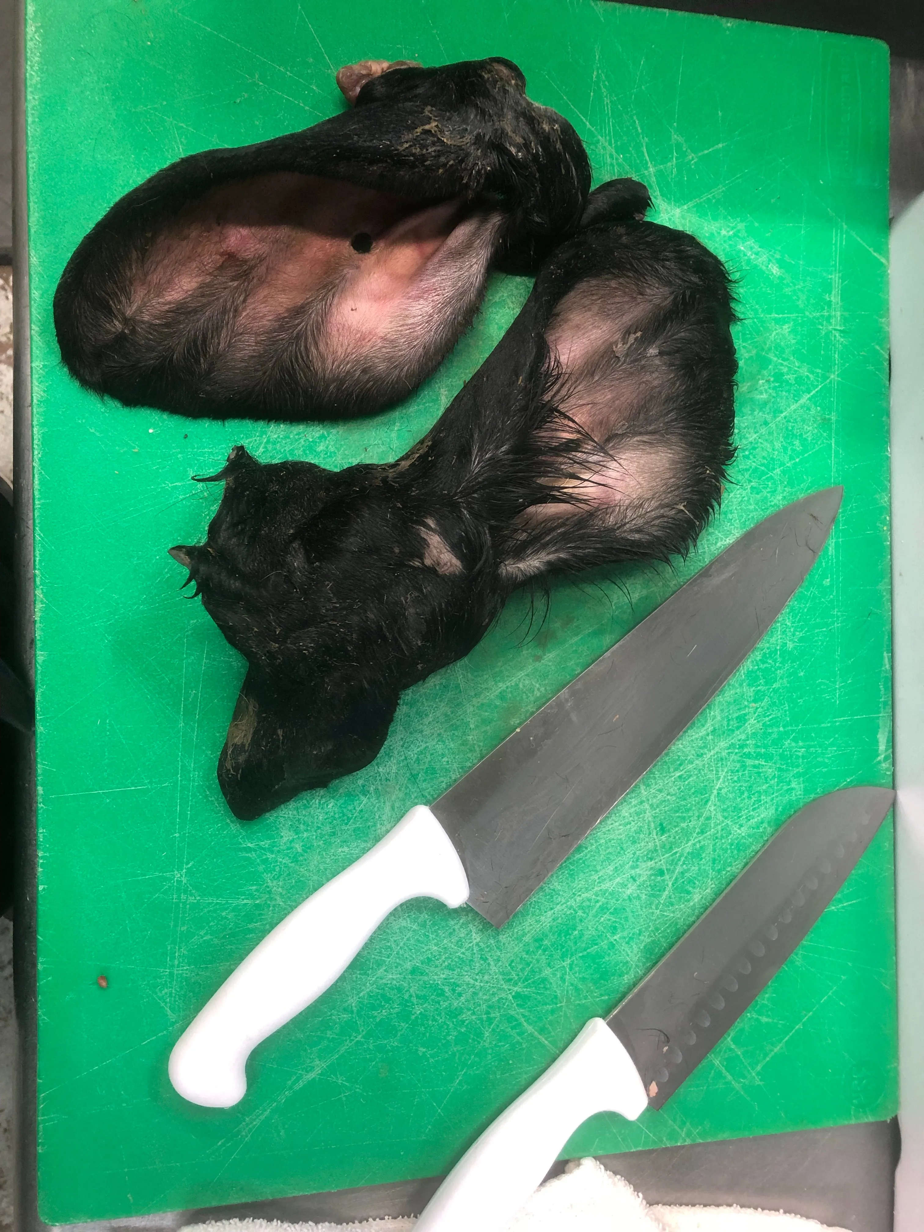 Beef Ears - Raw, Whole