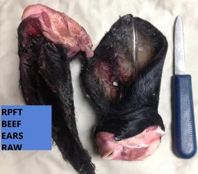 Beef Ears - Raw, Whole