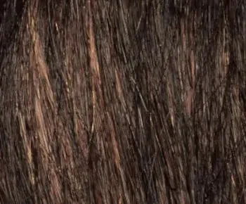 Fern wig - Natural Collection
