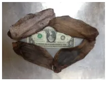Goat Ear, Treat Pet Candy Dehydrated