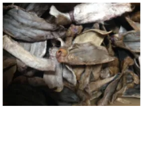 Goat Ear, Treat Pet Candy Dehydrated