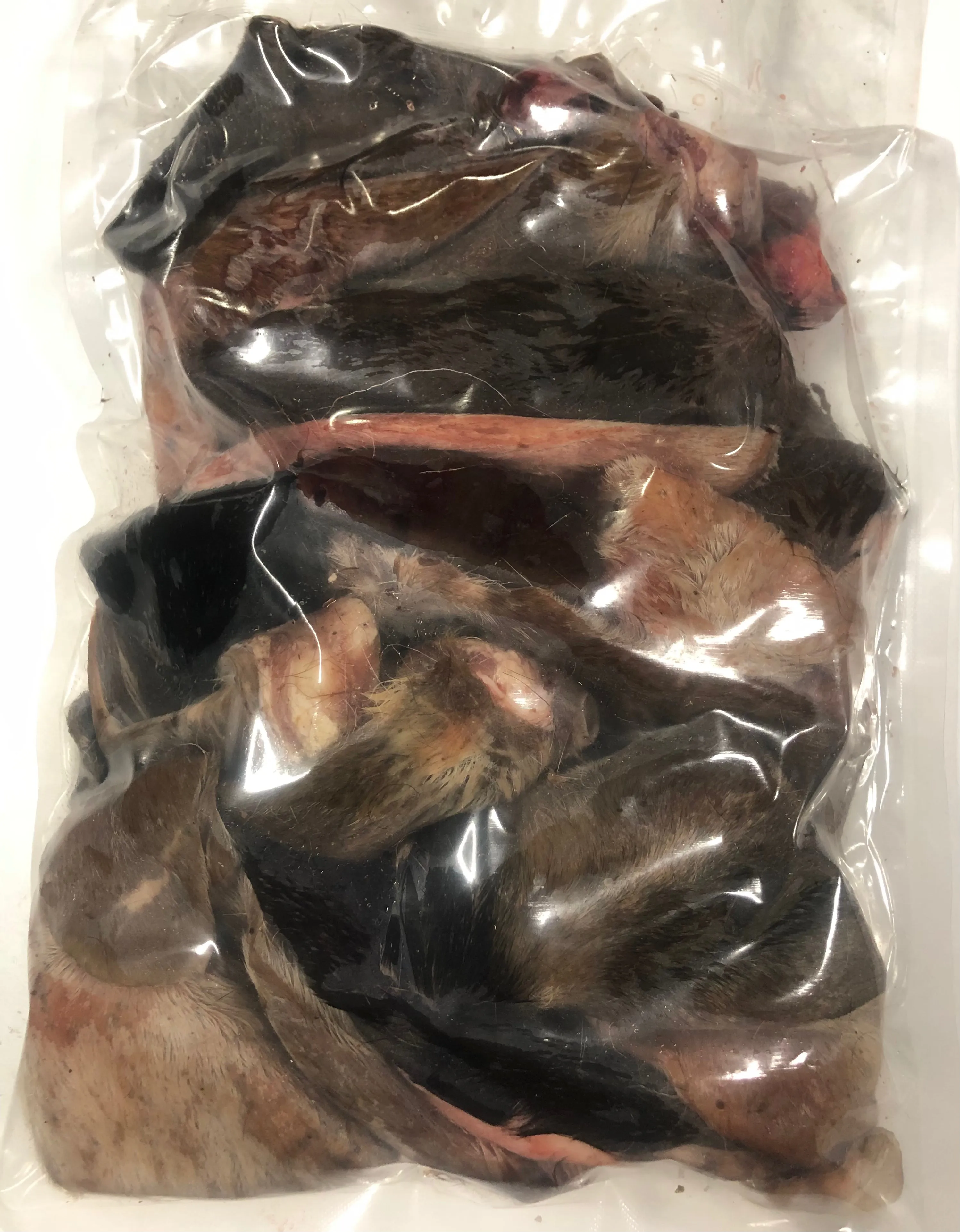 Goat Ears - Raw, Whole