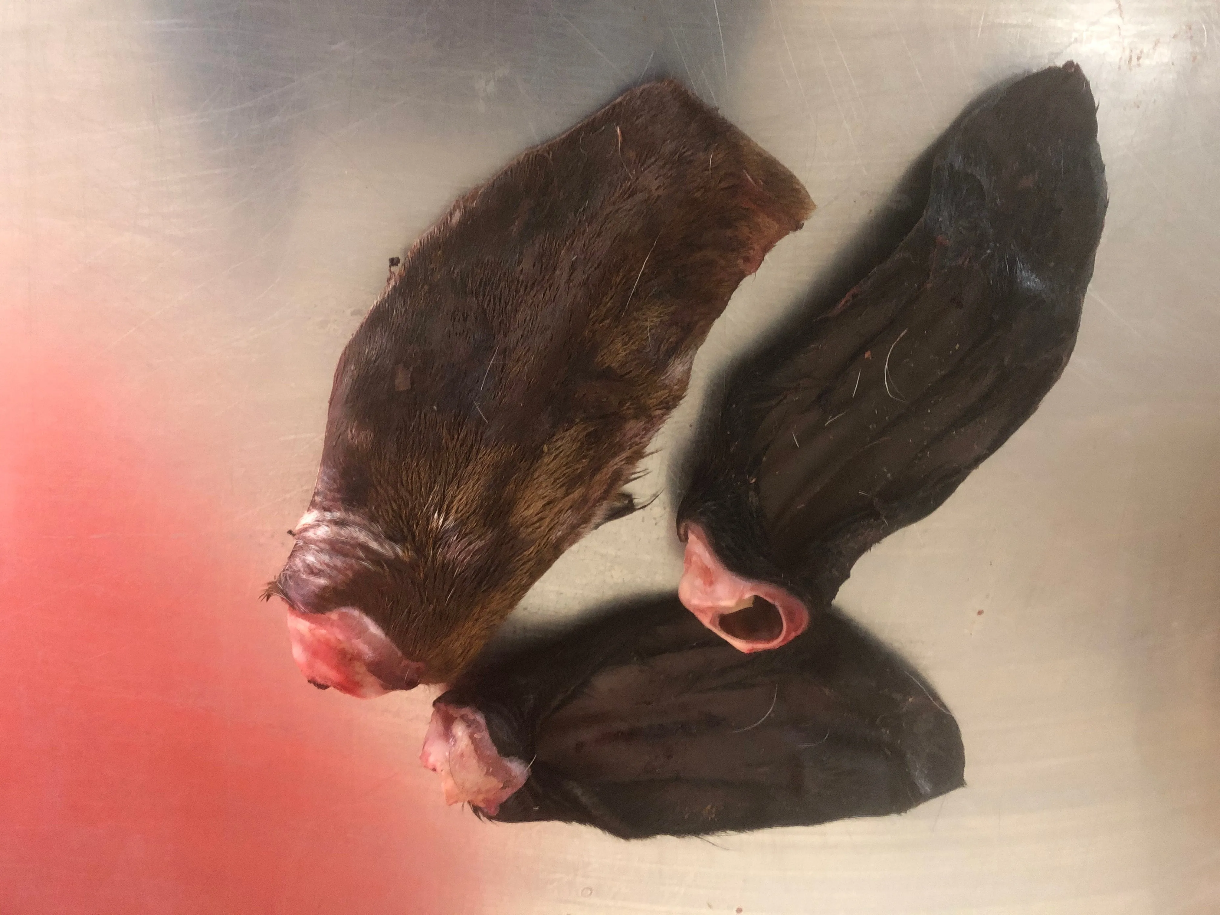 Goat Ears - Raw, Whole