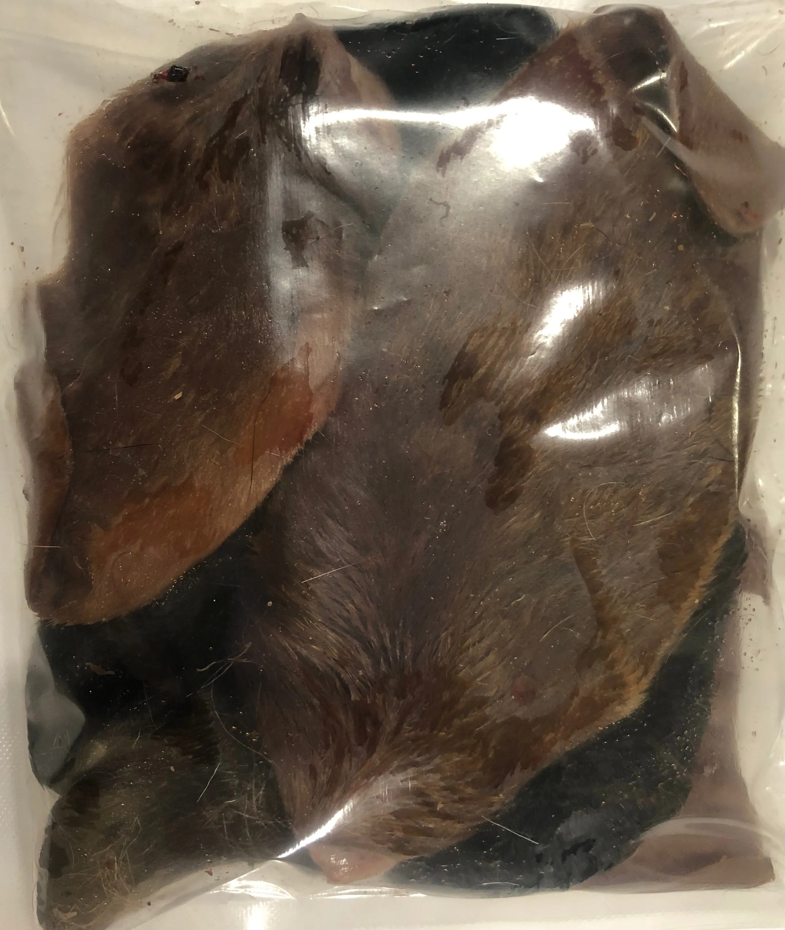 Goat Ears - Raw, Whole