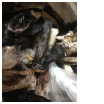 Lamb Ear, Treat  Pet CANDY **Dehydrated