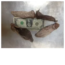 Lamb Ear, Treat  Pet CANDY **Dehydrated