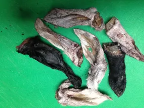 Lamb Ear, Treat  Pet CANDY **Dehydrated
