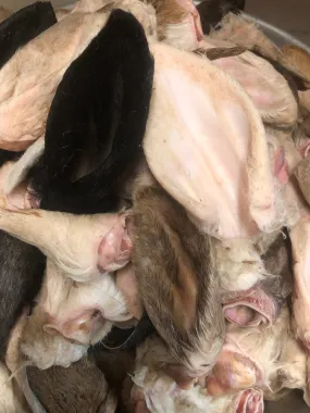 Lamb Ears - Raw, Whole