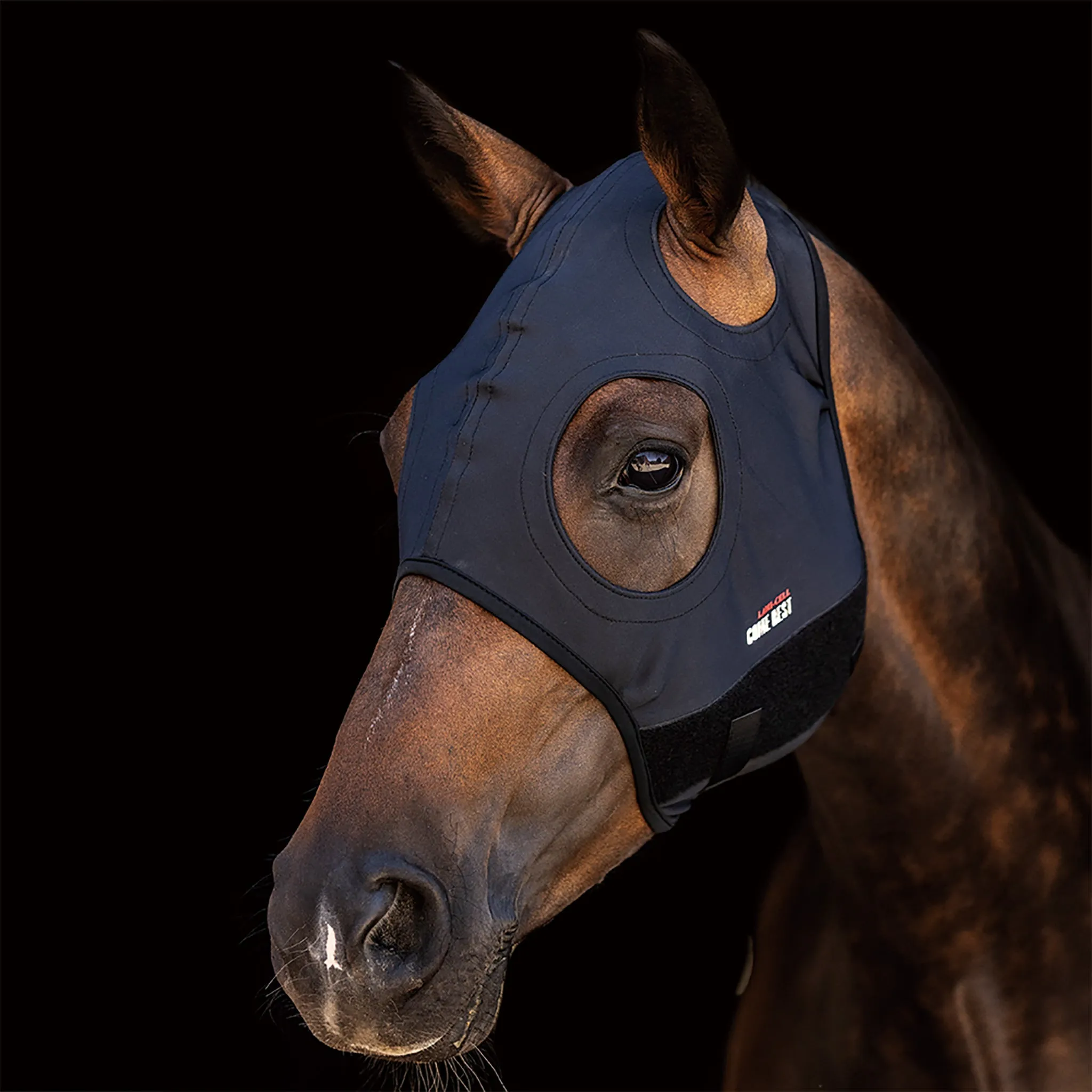 Lami-Cell Titanium Hood
