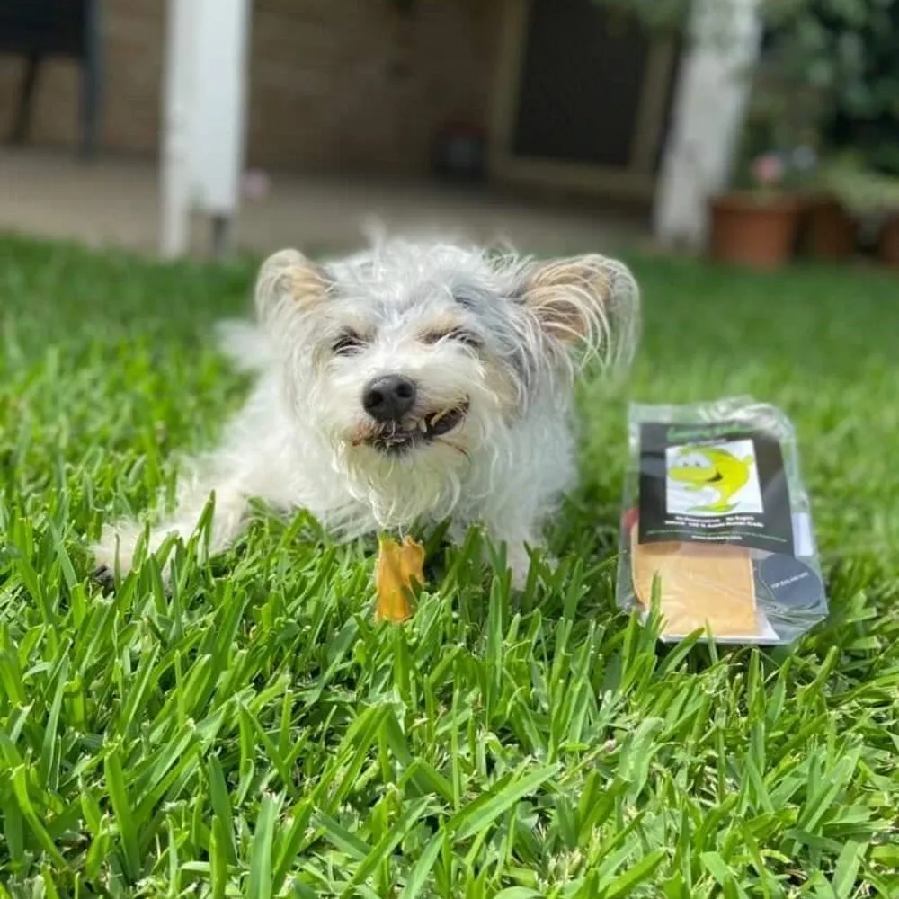 L'Barkery Guppie Ear Chewz
