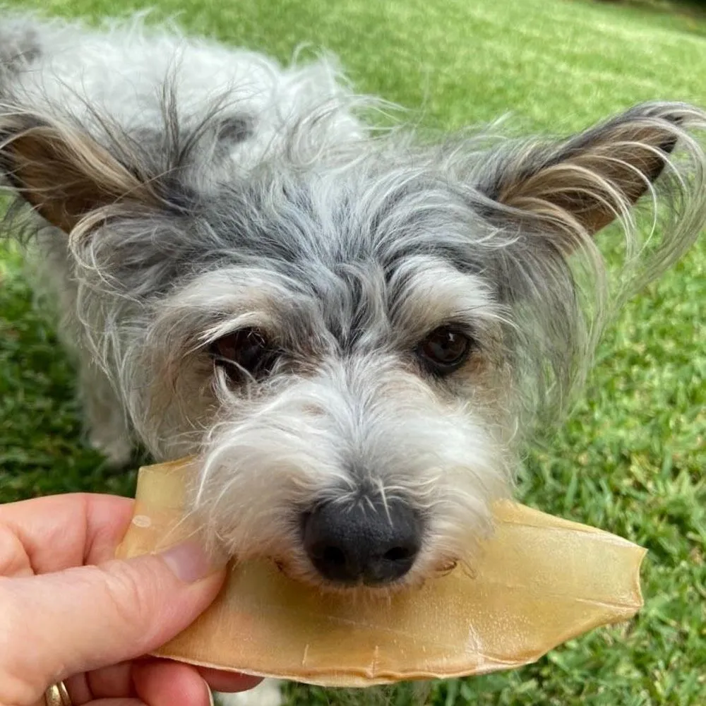L'Barkery Guppie Ear Chewz