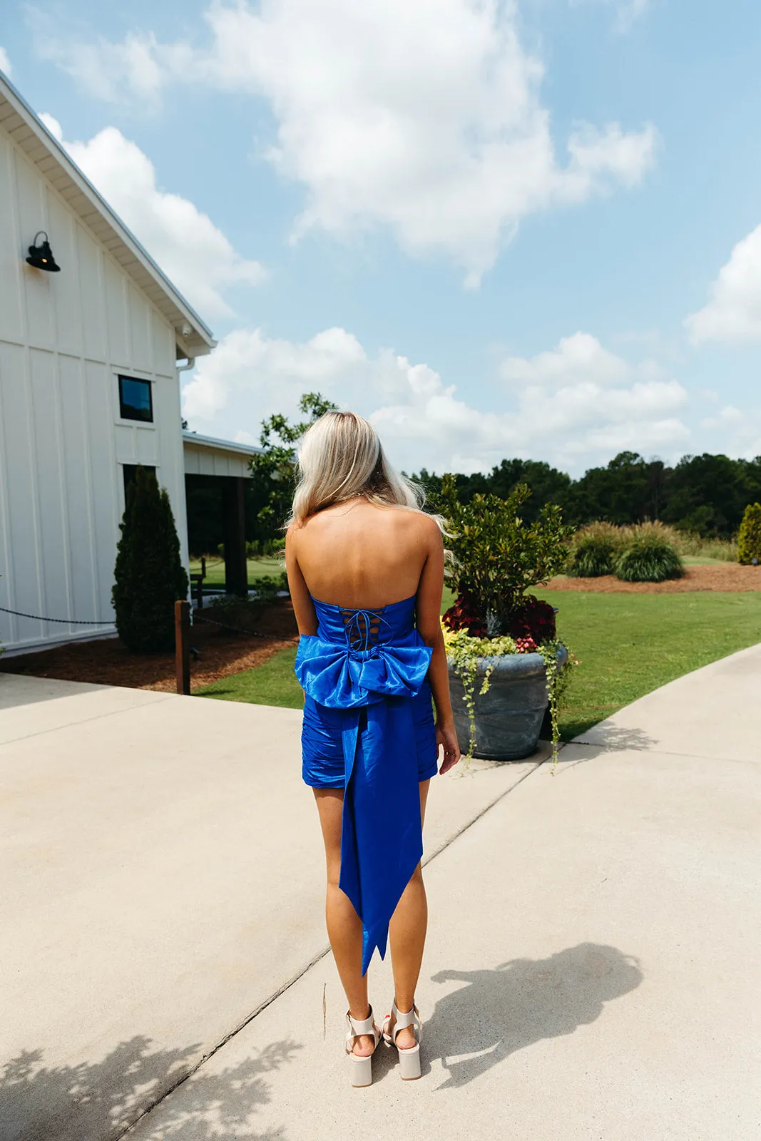 Look Alive Mini Dress - Royal Blue