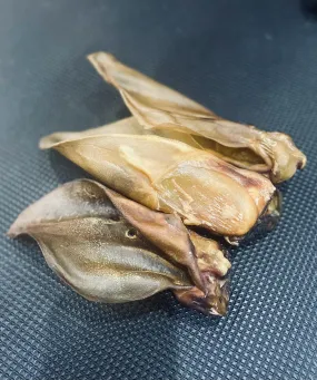 Natural XL Buffalo Ears (single)