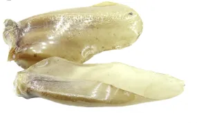 Nature's Own Water Buffalo Ears