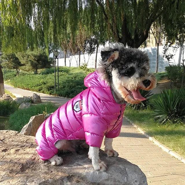 Pet Hoodie Puffer Downed Jacket