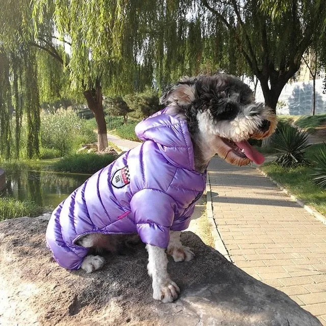 Pet Hoodie Puffer Downed Jacket
