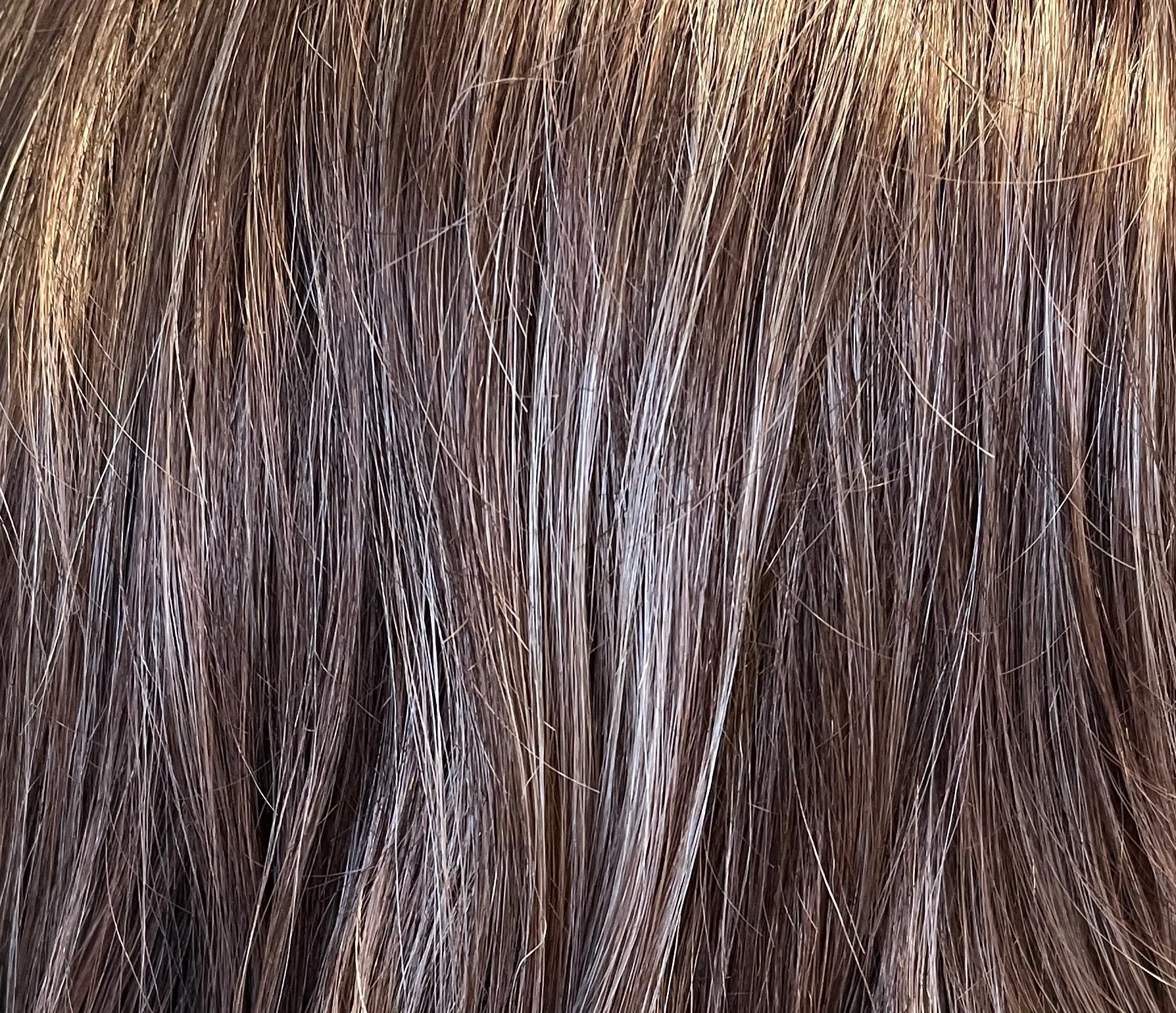 Preloved, Natural Image, Impact wig | Synthetic fibre | Nutmeg Mist | Petite cap | 12″ length