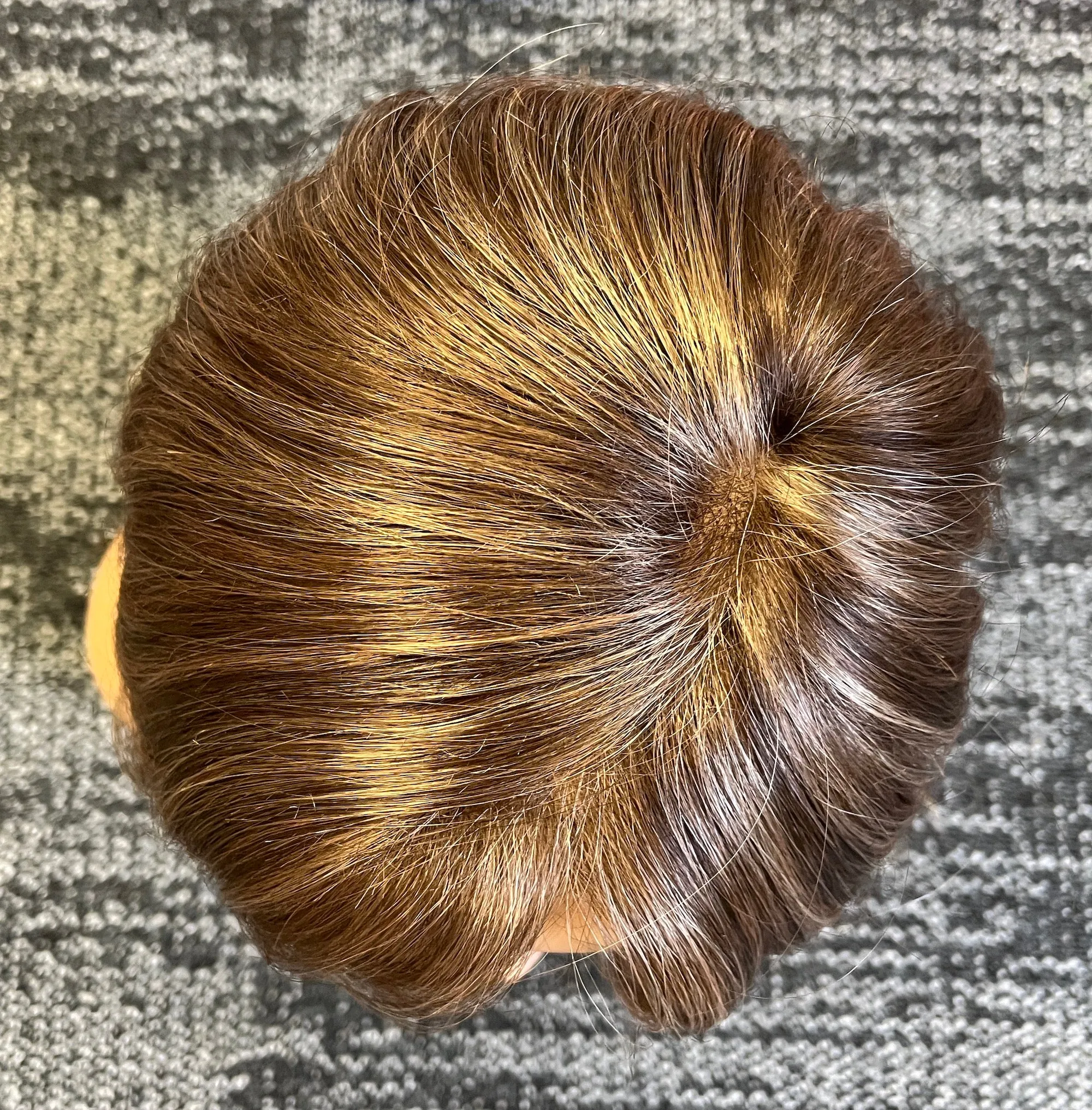 Preloved, Natural Image, Impact wig | Synthetic fibre | Nutmeg Mist | Petite cap | 12″ length