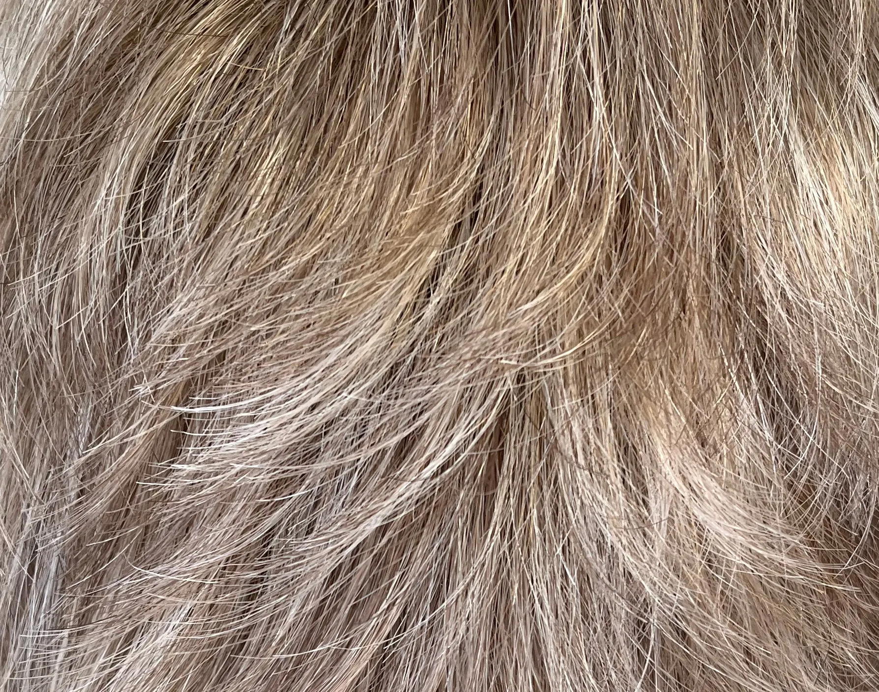 Preloved, Raquel Welch, Voltage wig | Synthetic fibre | Glazed Sand (R16/21S ) | Petite cap | 13" length