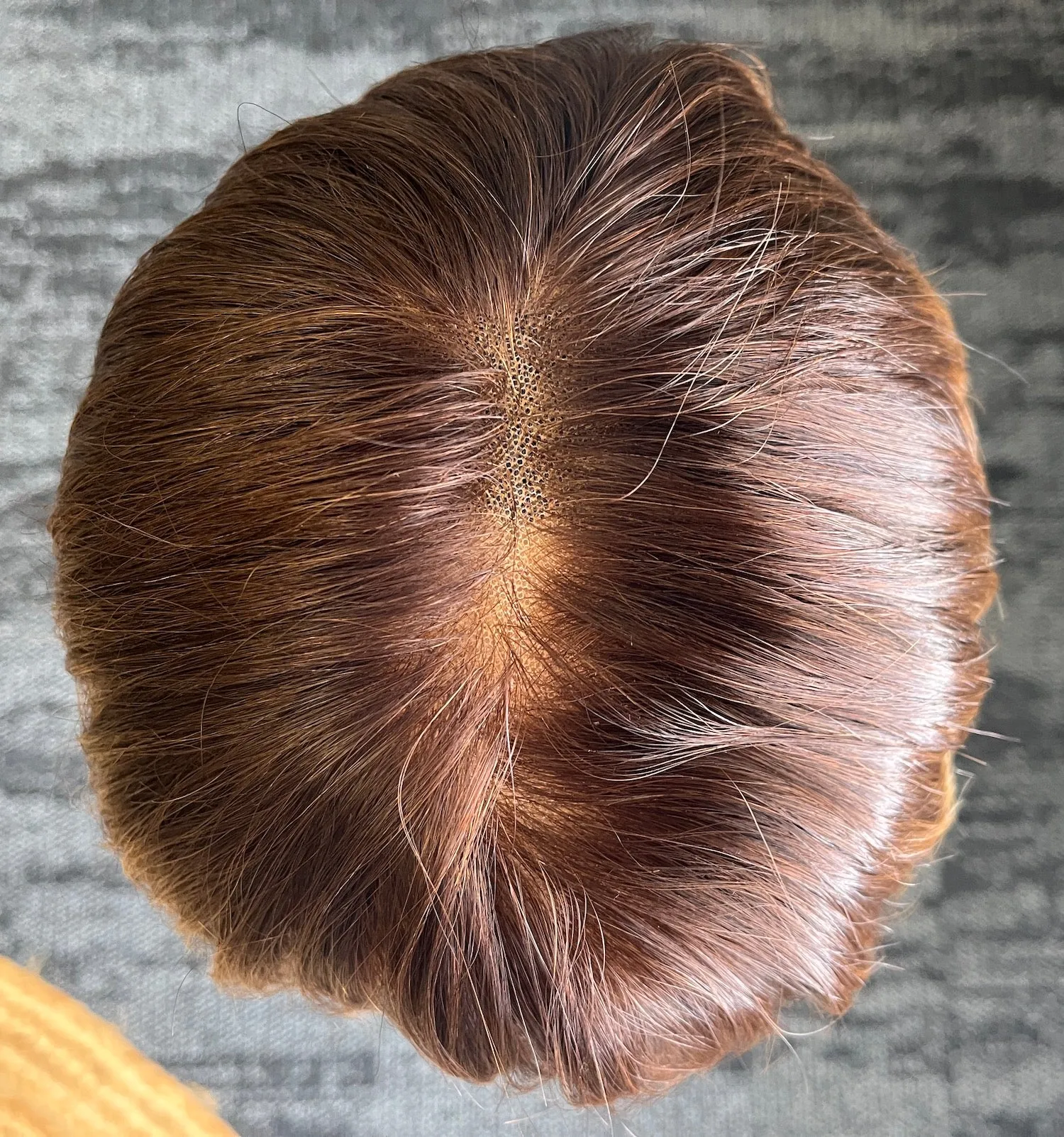 Preloved, Second Spring Wigs, Linea wig | Human hair | Medium brown balayage | Small cap | 12" length