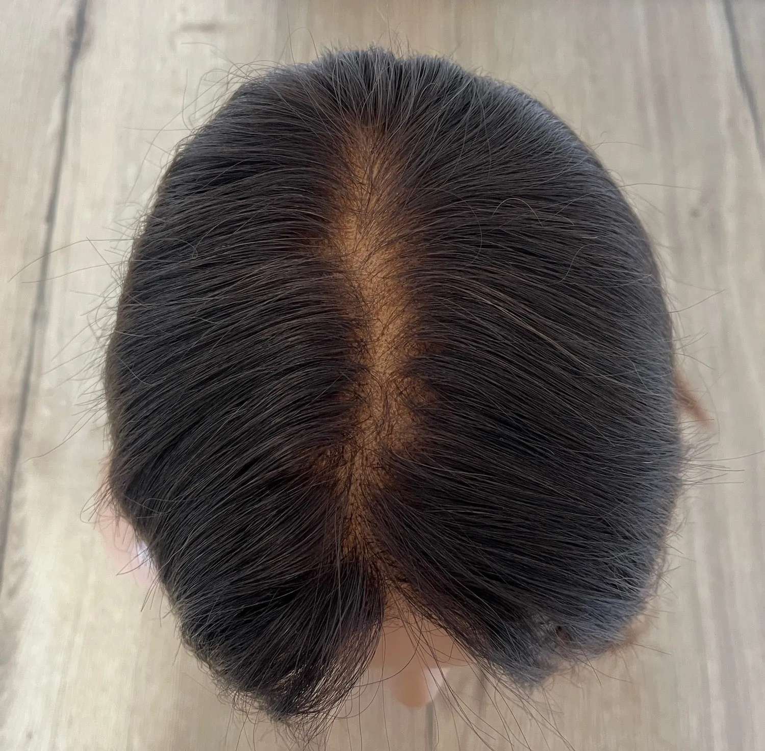 Preloved, Second Spring Wigs, Noe wig | Human hair | Black/darkest brown base with copper brown highlights | Small cap | 22" length