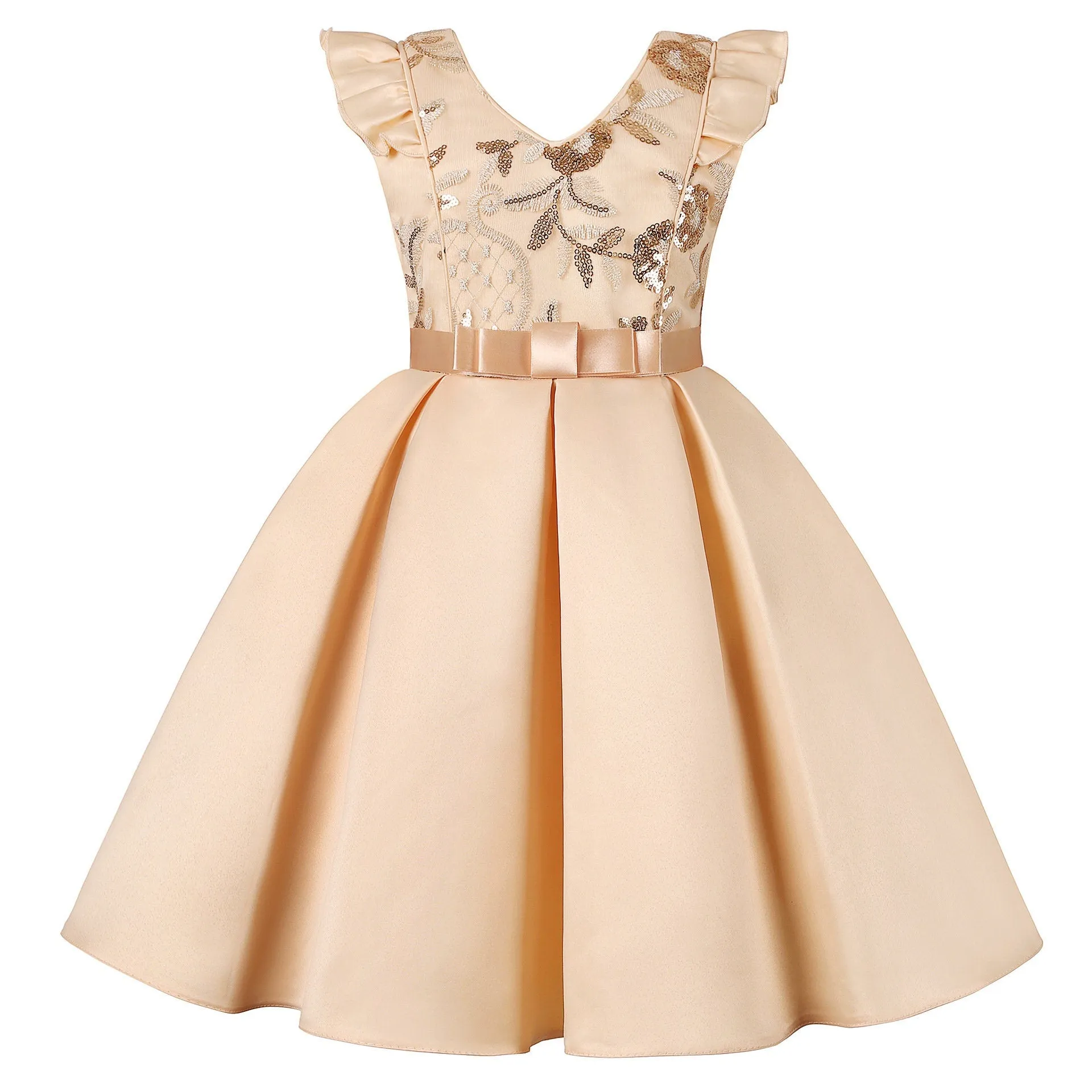 Princess Dress for Girls Tutu Girls