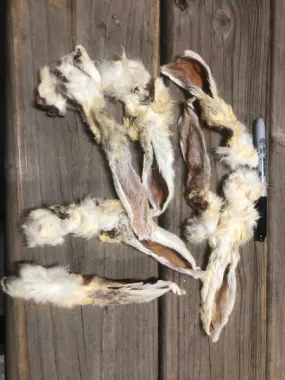 RABBIT Ear, Dehydrated, Hair on **Treat Pet Candy