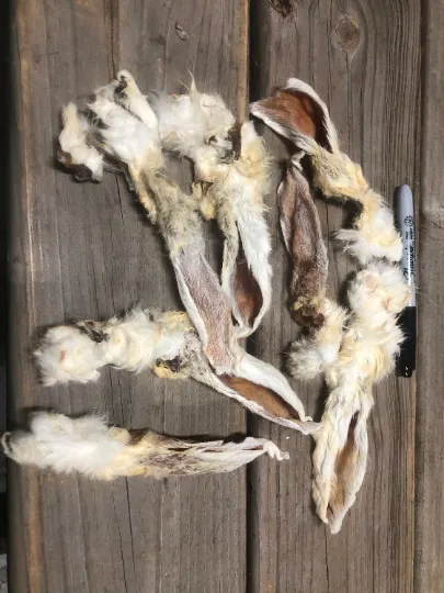 RABBIT Ear, Dehydrated, Hair on **Treat Pet Candy