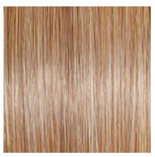 RAQUEL WELCH - EDITOR’S PICK WIG