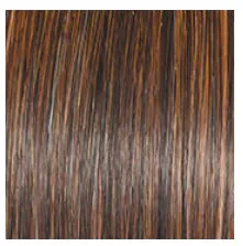 RAQUEL WELCH - STYLE SOCIETY WIG