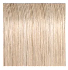 RAQUEL WELCH - STYLE SOCIETY WIG