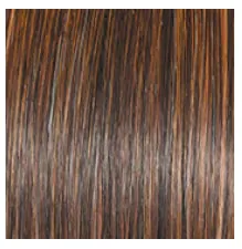 RAQUEL WELCH - STYLE SOCIETY WIG