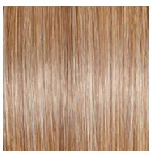 RAQUEL WELCH - STYLE SOCIETY WIG