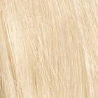 Success Story wig - Raquel Welch Black Label Human Hair Collection