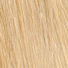 Success Story wig - Raquel Welch Black Label Human Hair Collection