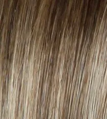 Success Story wig - Raquel Welch Black Label Human Hair Collection