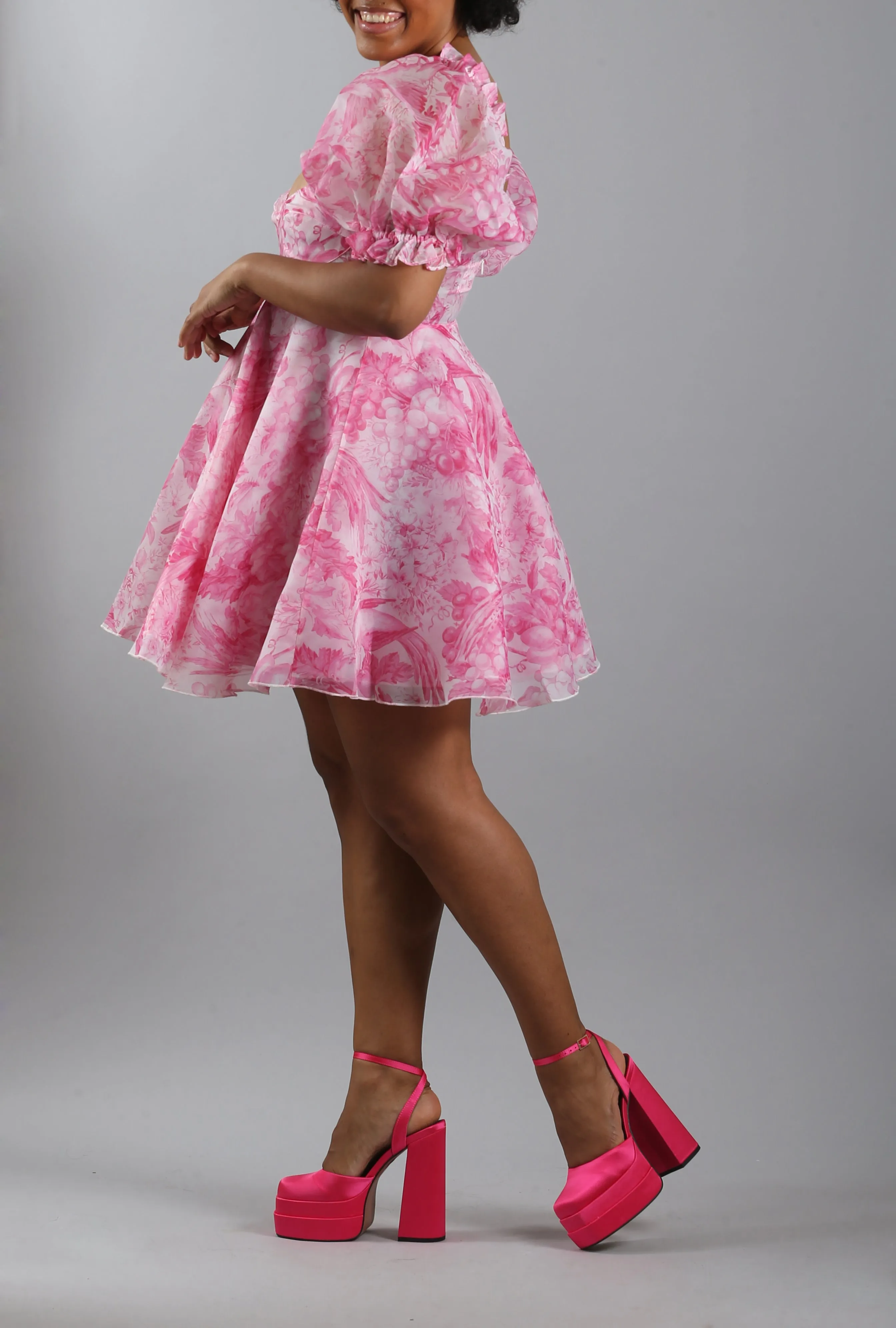 The Babydoll Toile Parliament Dress
