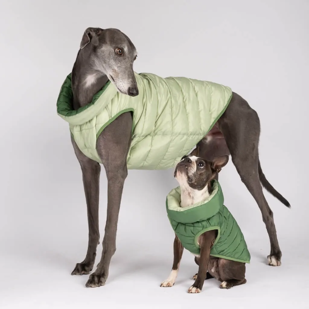 The Winterproof Reversible Dog Puffer Jacket | Elm Green
