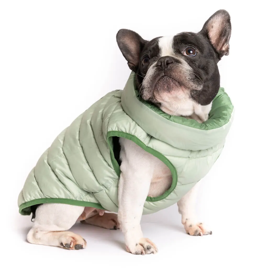 The Winterproof Reversible Dog Puffer Jacket | Elm Green