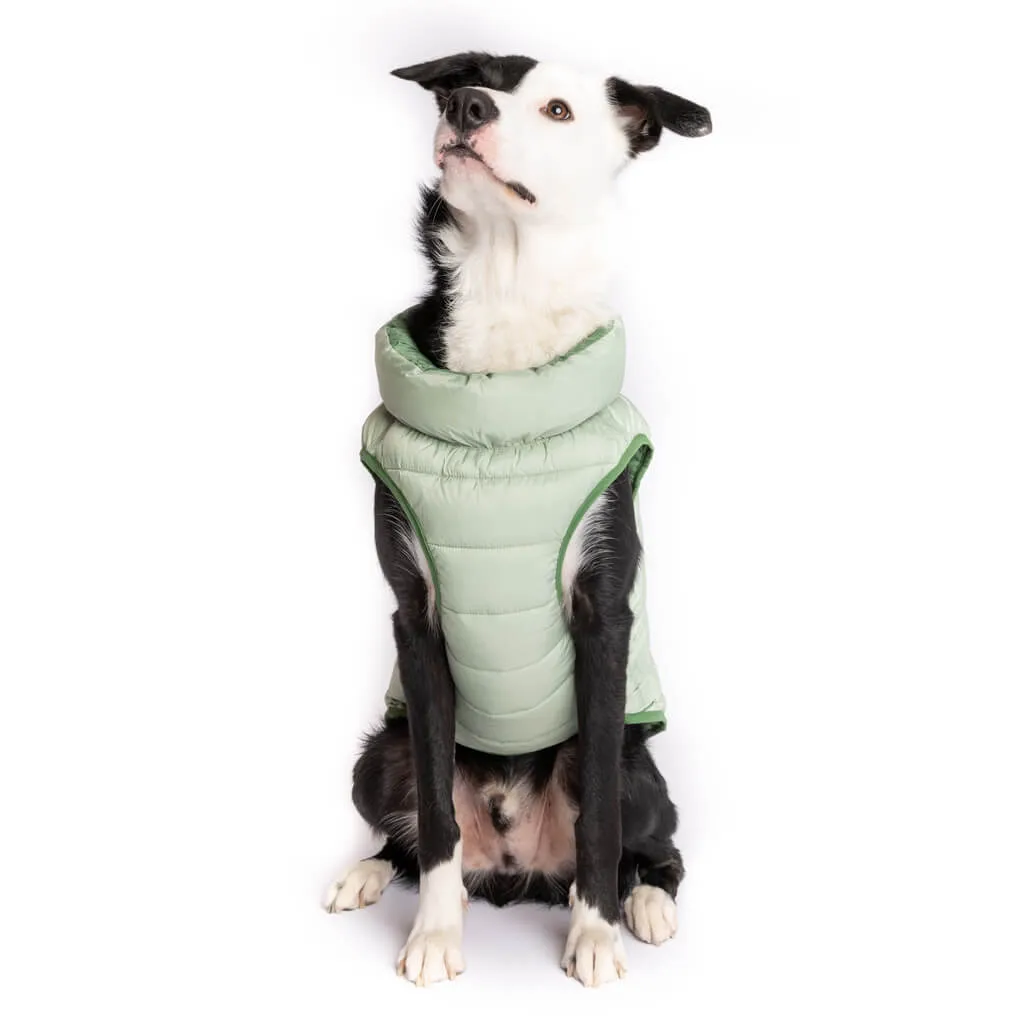 The Winterproof Reversible Dog Puffer Jacket | Elm Green