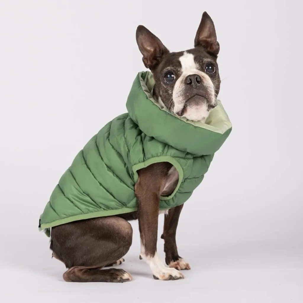 The Winterproof Reversible Dog Puffer Jacket | Elm Green