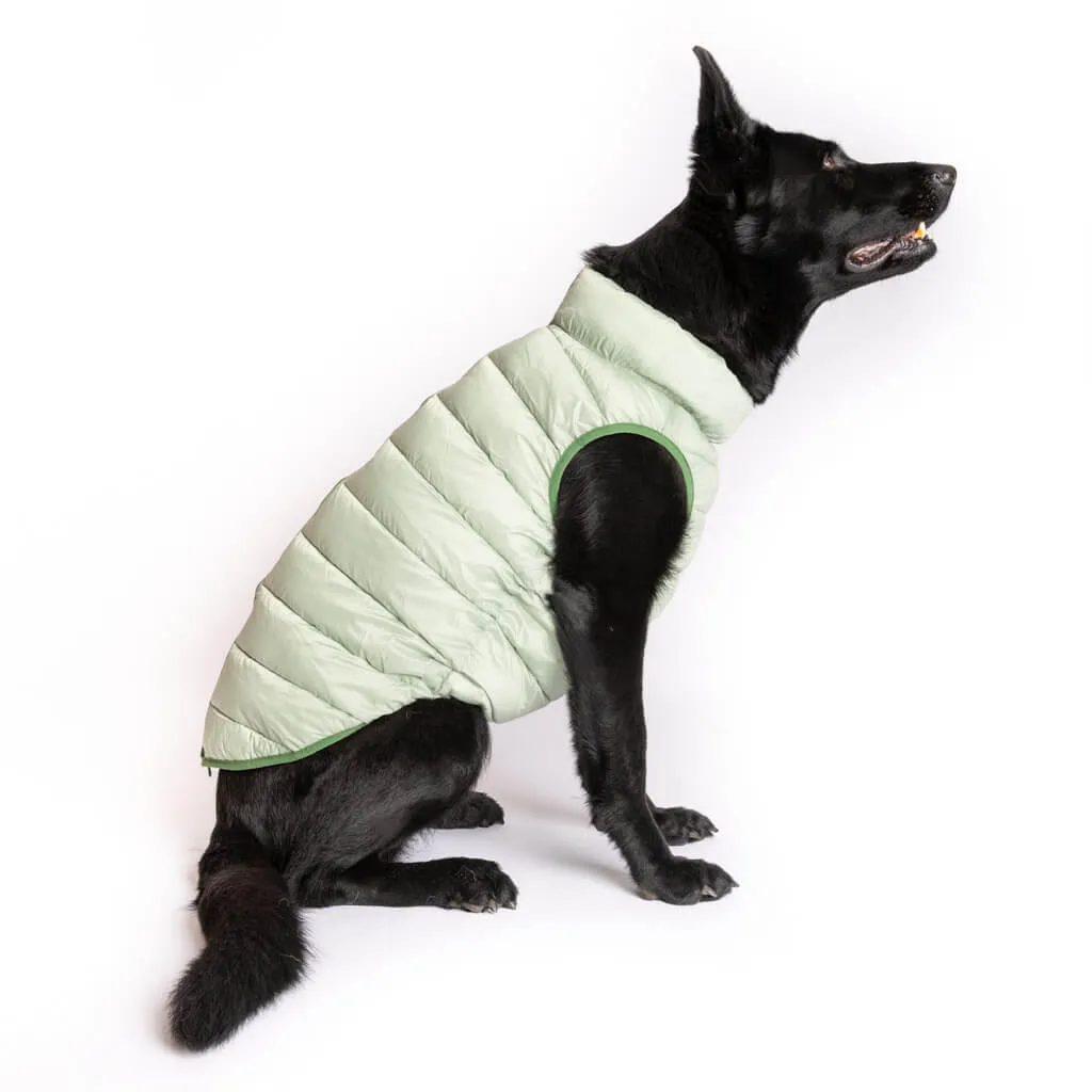 The Winterproof Reversible Dog Puffer Jacket | Elm Green