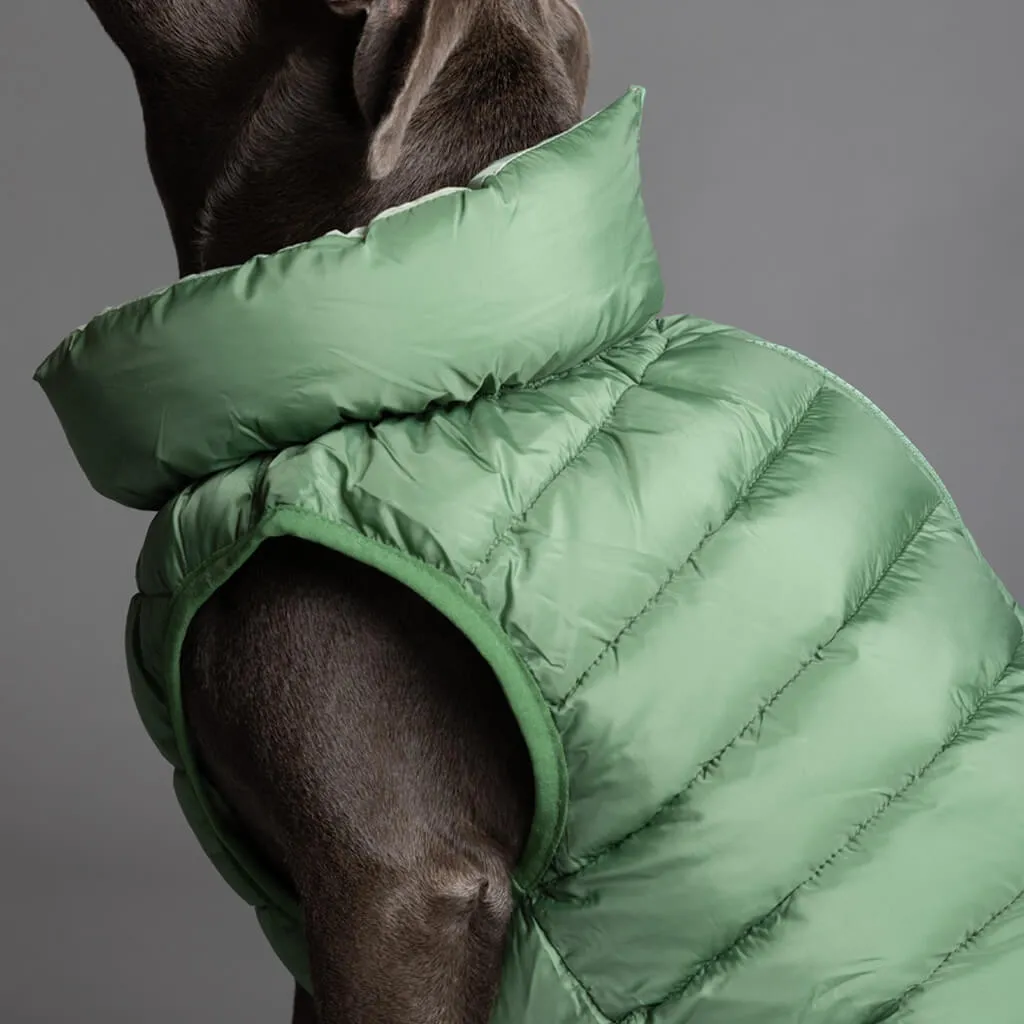 The Winterproof Reversible Dog Puffer Jacket | Elm Green