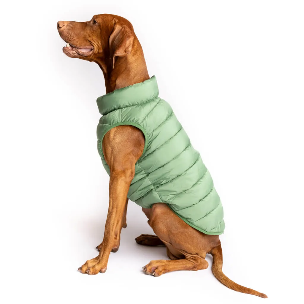 The Winterproof Reversible Dog Puffer Jacket | Elm Green
