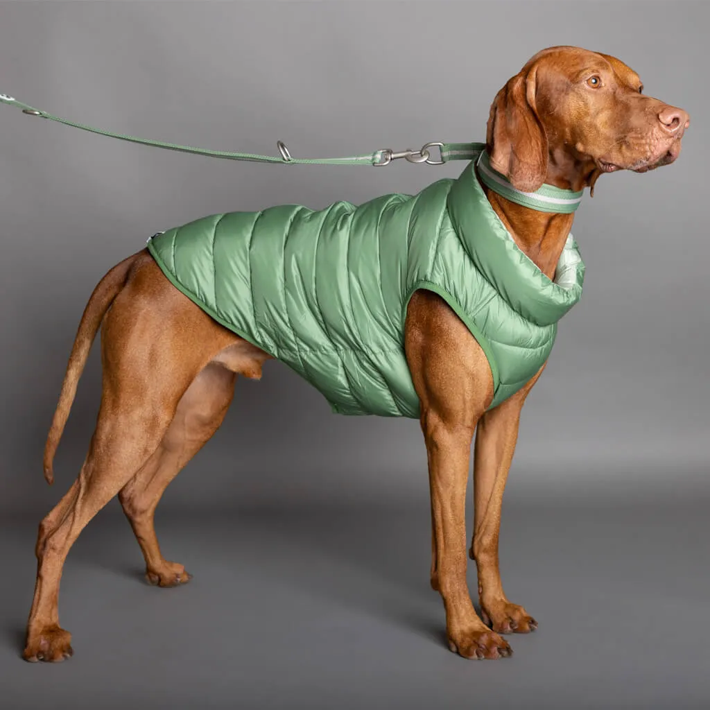 The Winterproof Reversible Dog Puffer Jacket | Elm Green