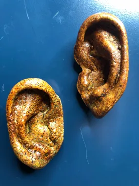 Zombie Ear Magnet